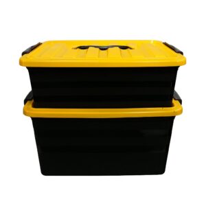 Set x 2 cajas organizadoras