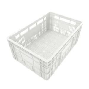 Caja MS24